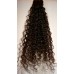 Meishan Curl